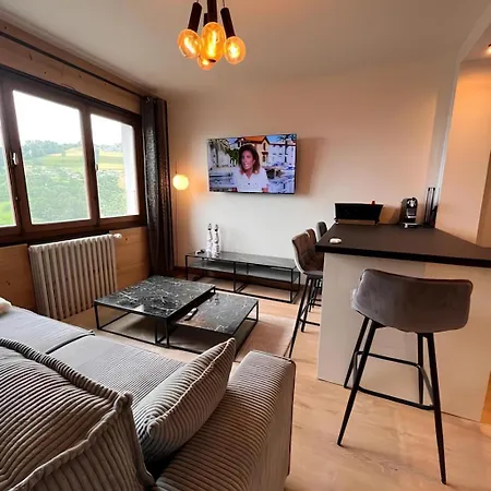 Apartment Vue Mont Blanc, Et Village Combloux